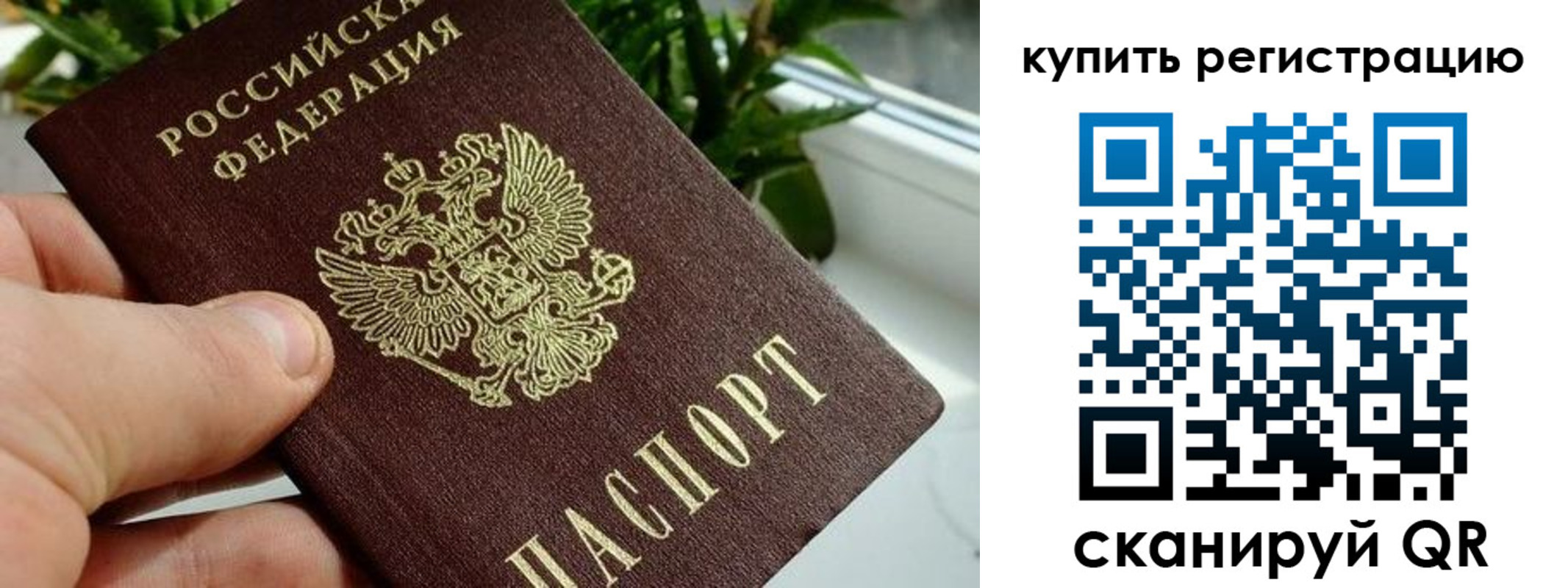 прописка гарантия в Волжске